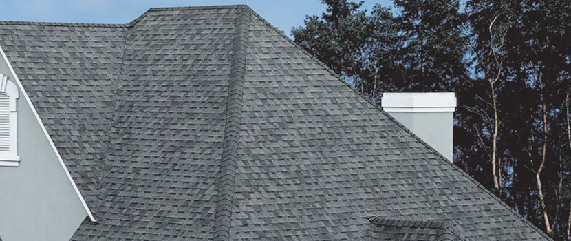 Cool Roofing Shingles Paramount
