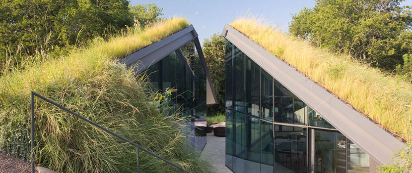 Residential Green Roof Paramount
